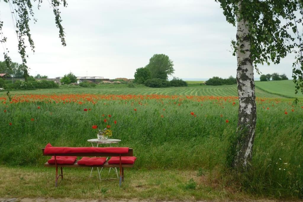 Privatunterkunft Erpelhaus